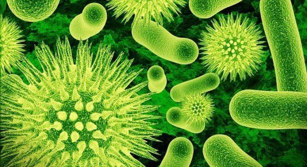 Hygea Air Desktop унищожава опасни бактерии и вируси